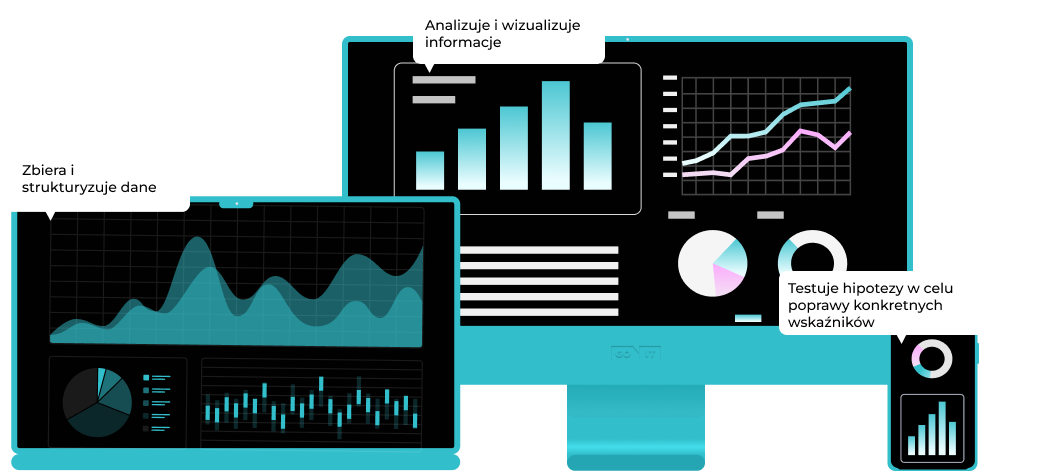 Czym zajmuje się Data Analyst?