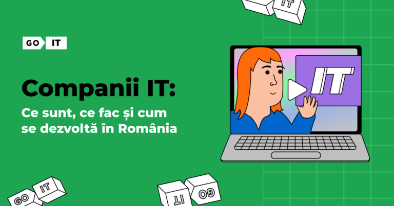 Companii IT: Ce sunt, ce fac și cum se dezvoltă în România